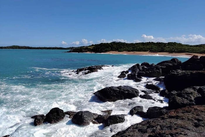 Fajardo: Hidden Beach and Mangrove Tour