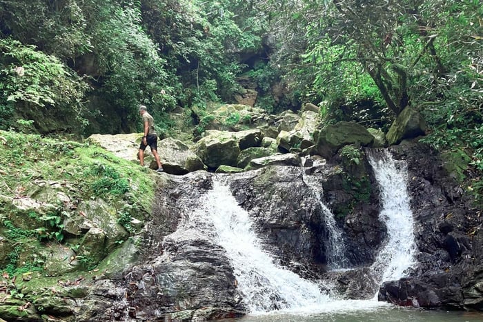 Porto Rico: ritiro con immersione nella foresta, yoga e sorgenti termali