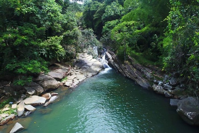 From San Juan: El Yunque Forest Off the Beaten Path Tour