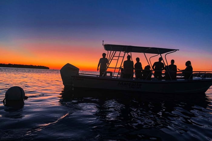 La Parguera: Sunset and Biobay or Late Night Biobay Cruise