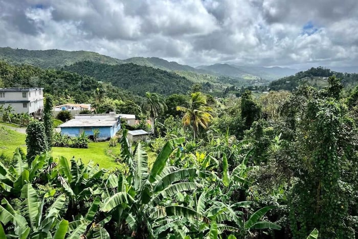 Puerto Rico: Guavate Pork Highway Tour with Food Tasting