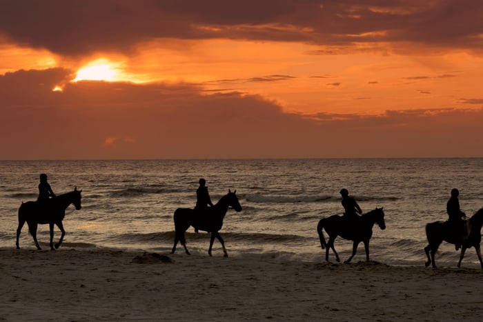 Puerto Rico: Sunset Horseback Rides in Aguadilla Beach