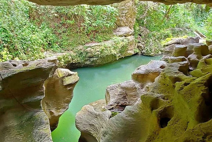 Rainforest Cave Tubing Adventure