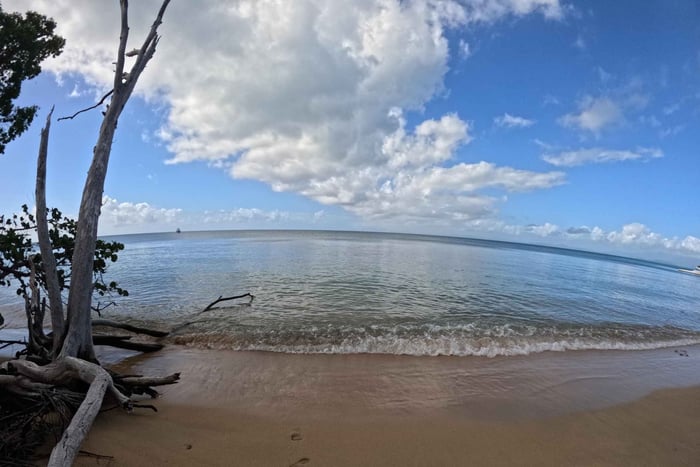 Vieques All Inclusive: Swim with turtles & Pristine Beaches