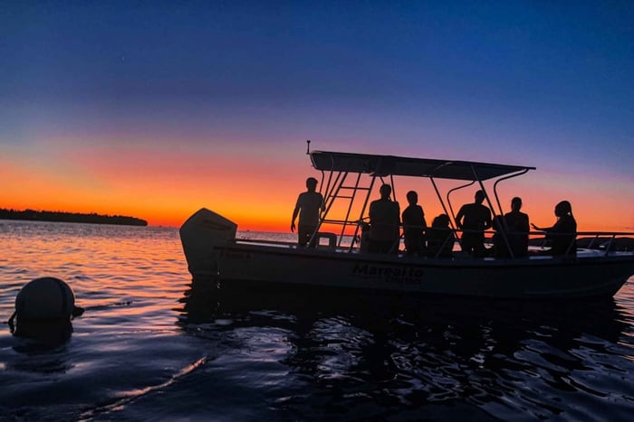 La Parguera: Solnedgang og Biobay eller Late Night Biobay Cruise
