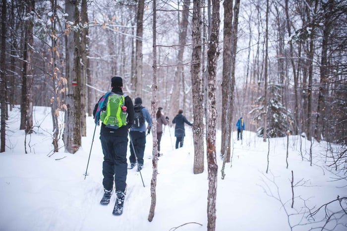 Parque Nacional Jacques-Cartier: Excursión de esquí