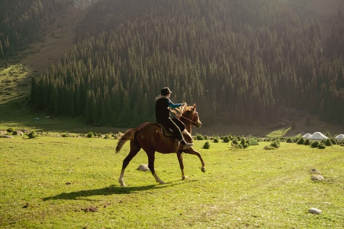 Mountain Trail Horseback Discovery Ride