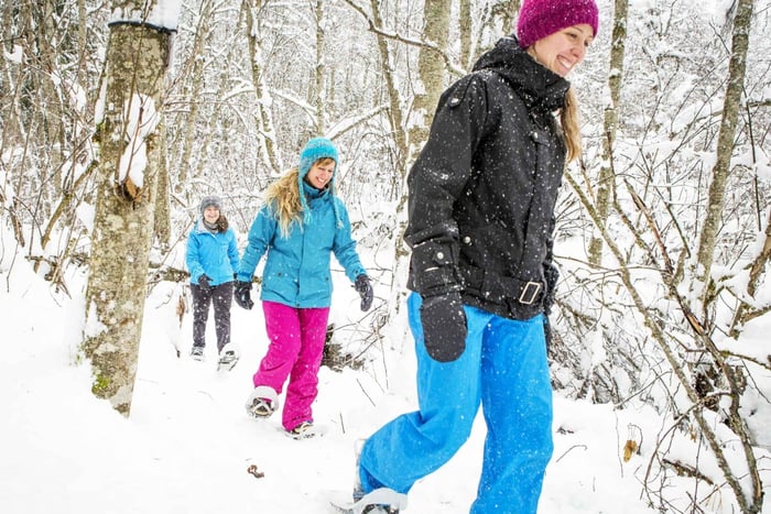Quebec City: Jacques-Cartier-Nationalpark Schneeschuhwanderung Tour