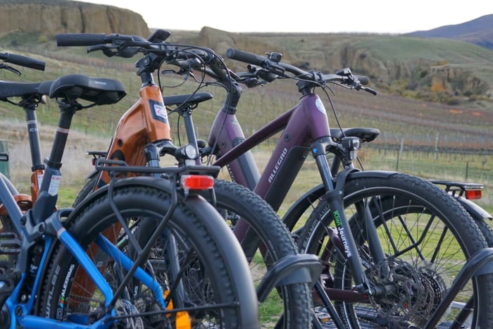 Cromwell: Kawarau Gorge Self-Guided eBike & Winery Day Out