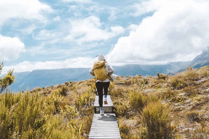 Fiordland: Routeburn Track og Key Summit guidet dagstur