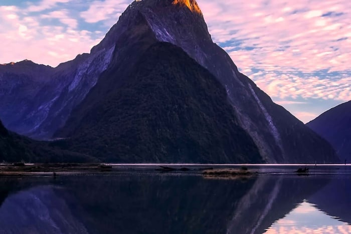 Tour de 1 día a Milford Sound desde Queenstown