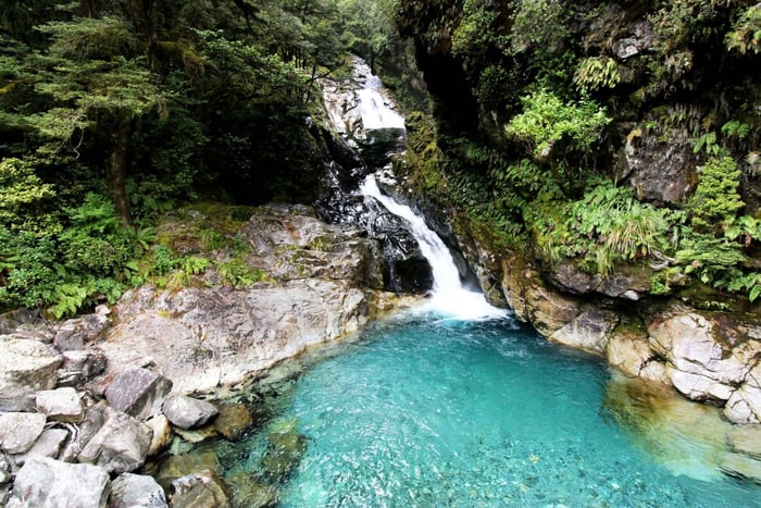 Nueva Zelanda: tour privado de 9 días con 14-16 actividades