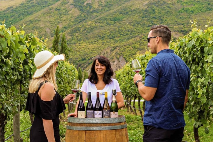 Queenstown: Ruta Clásica del Vino