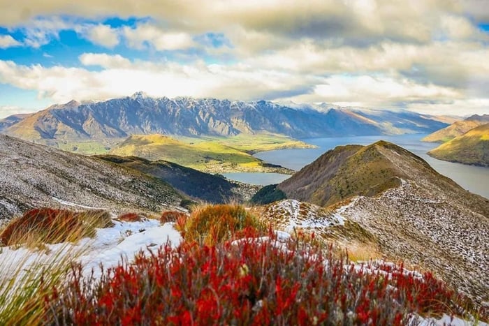 QUEENSTOWN: Privat lufthavnstransport 1 vej til/fra hoteller i CBD