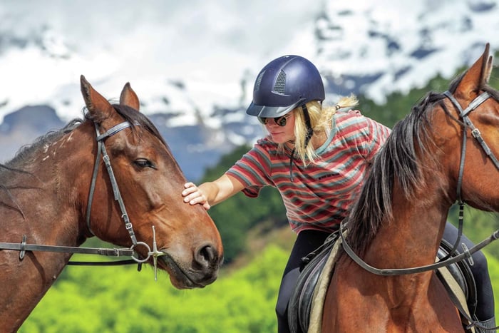  Horse Riding Through Dart Valley
