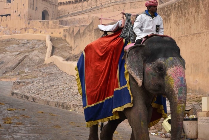 Circuit de 7 jours du Triangle d'Or Jodhpur Udaipur au départ de Delhi