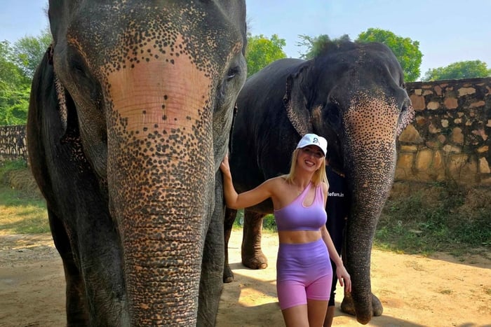 Elefun Best Elephant Sanctuary in Jaipur