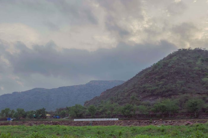 Farm to Table: With a local farmer family