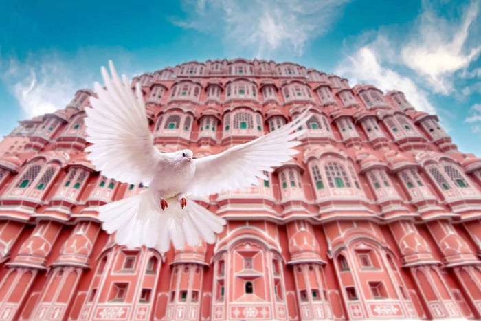 From Jaipur: Private Amber Fort, Jal Mahal and More Car Tour