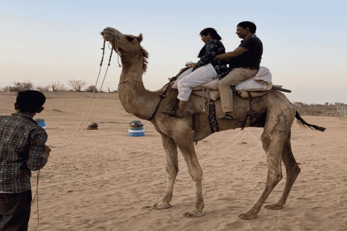 Fra Jodhpur: Halvdagstur, kameltur og middag i Osian