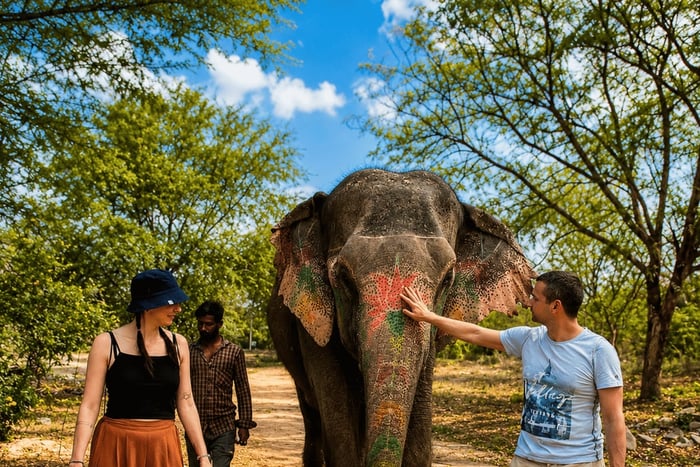 Jaipur: experiencia de cuidado y conservación en Elephant Village