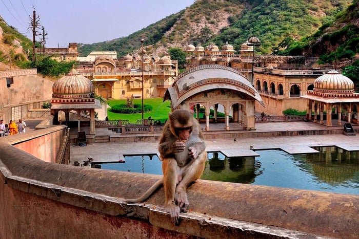 Jodhpur: Excursão a pé pela Cidade Azul