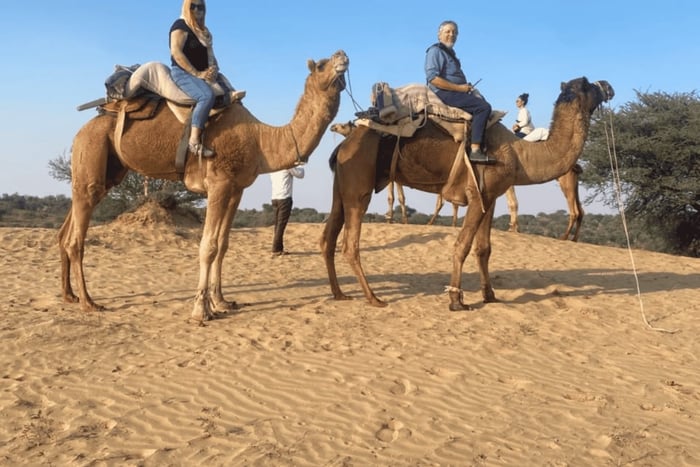 Safari de camelo e jipe em Jodhpur com pôr do sol, dança folclórica e jantar