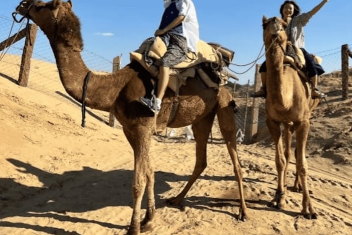 Jodhpur: Kamel- und Jeep-Safari in der Wüste mit traditionellem Essen