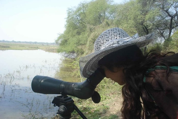 Billets et visite guidée du parc national de Keoladeo
