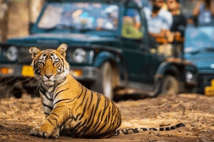 5 Days Golden Triangle Tour With ranthambhore Tiger safari