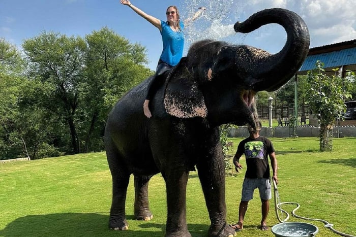 Jaipur: Hathigao – elefanttur i landsbyen, fodring og fotos