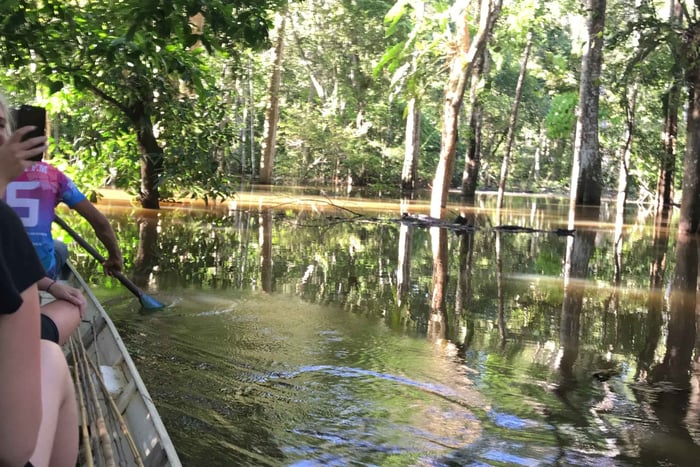 Från Manaus: Endagsupplevelse i Amazonas djungel