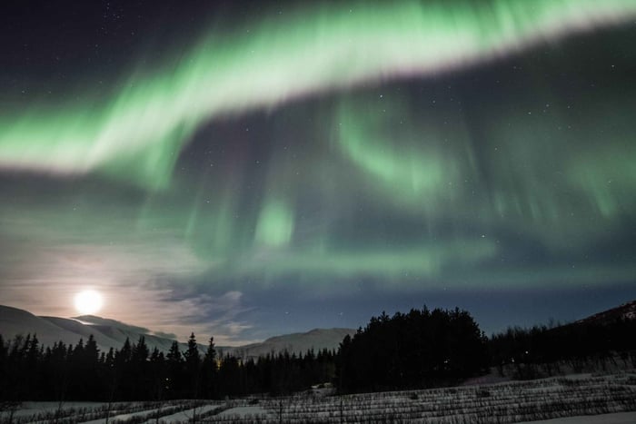 Excursion aux aurores boréales à partir d'Akureyri