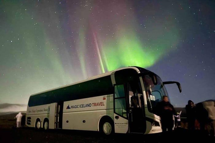 Reykjavik: Northern Lights Comfort Coach with Local Gift