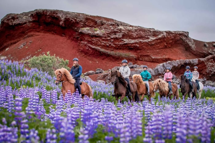 Reykjavik: Small-Group Horse Volcano Riding Tour with Pickup