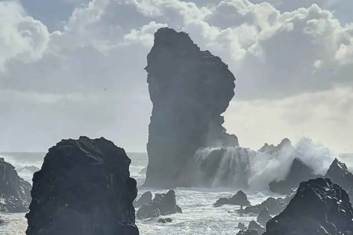 Reykjavik : Excursion en petit groupe à Snæfellsnes