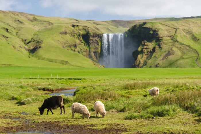 Reykjavik: South Coast Tour with Chinese Guide