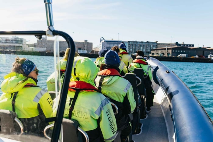 Reikiavik: Excursión de avistamiento de ballenas en barco semirrígido