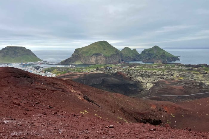 Westman islands Private tour