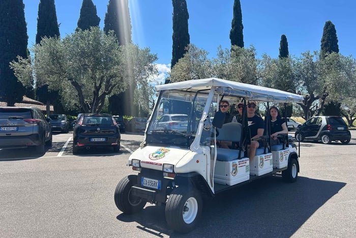 Roma: tour exclusivo de 4 horas en carrito de golf privado o en grupo