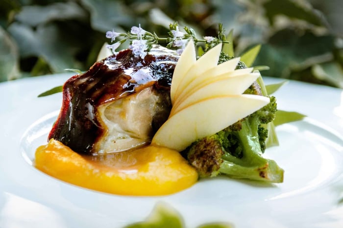 Desde Roma: cata de vino privada y almuerzo en una bodega histórica