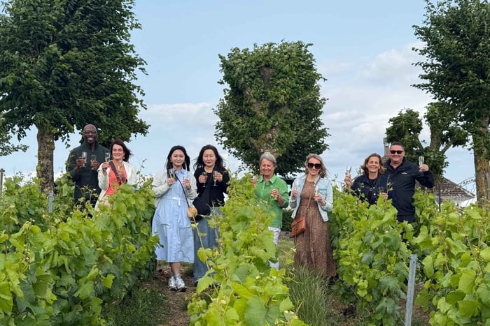 Tuscany Day Tour from Wine Tasting & Local Lunch