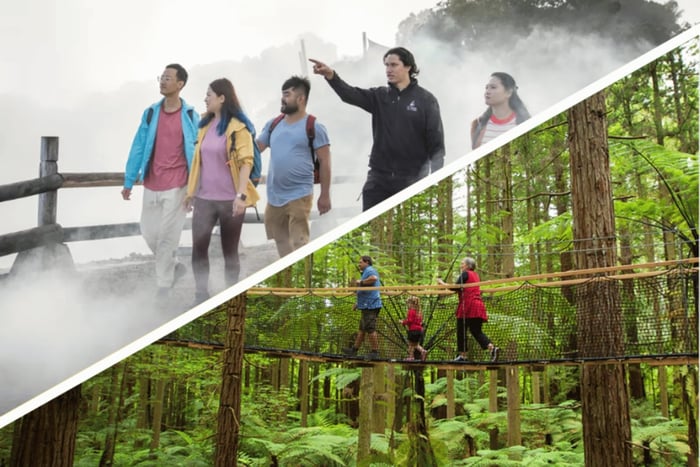 Auckland: Rotorua Highlights inkl. Te Puia-tur och Redwoods
