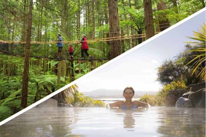 Auckland: Rotorua Highlights med Redwoods Treewalk & Spa