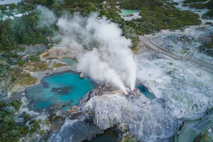 Tauranga: Kystudflugt til Rotorua med Te Puia