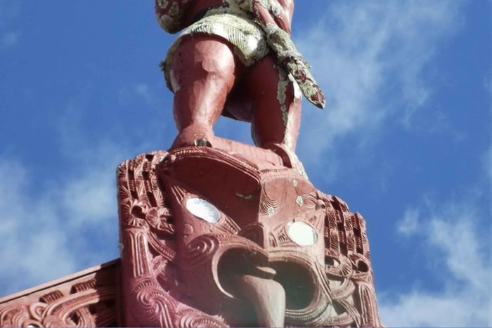 Au départ d'Auckland : excursion privée d'une journée à Rotorua avec expérience spa