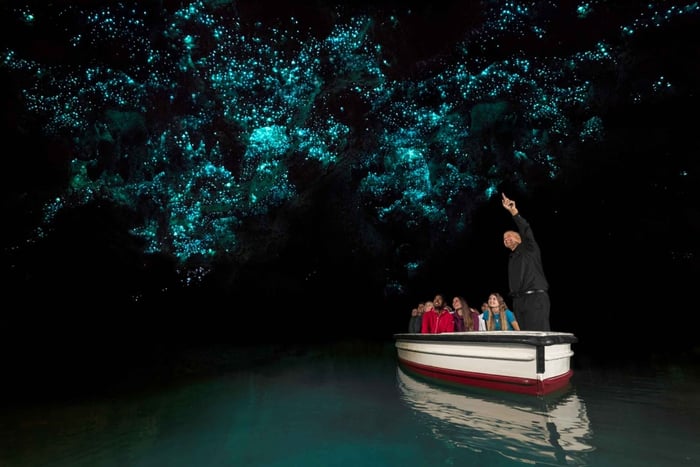 Fra Auckland: To-dagers tur til Hobbiton, Rotorua og Waitomo-grottene