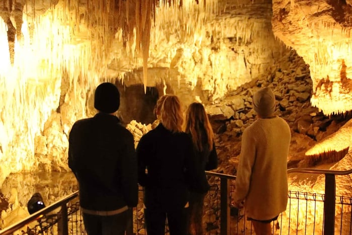 From Auckland: Waitomo Glow Worm Caves & Rotorua Tour