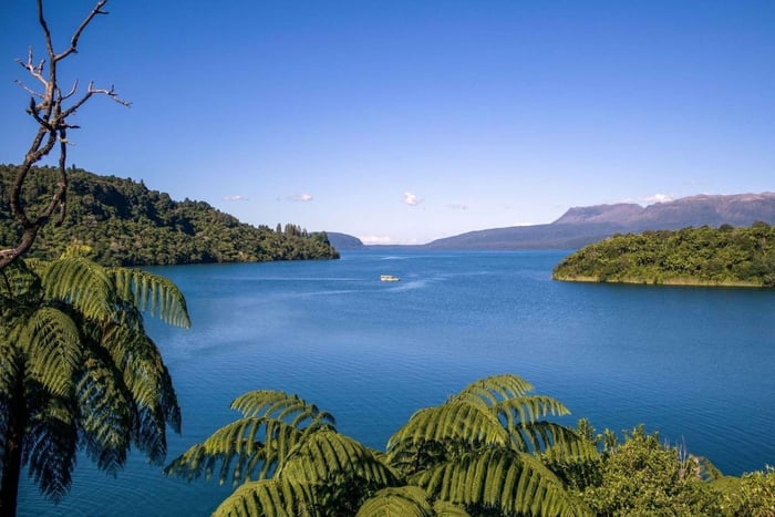 From Tauranga: Rotorua Highlights Tour