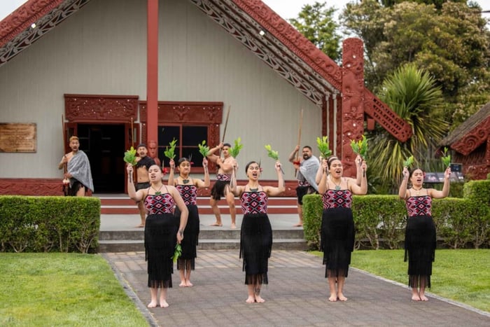 Da Tauranga: tour guidato di Te Puia con spettacolo culturale maori